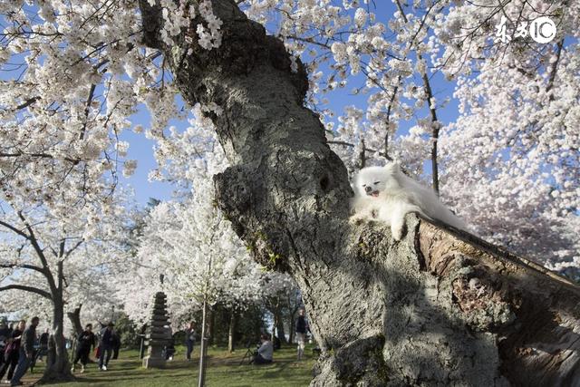 关于人的经典语录