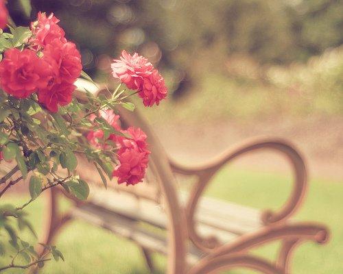 微信里最温馨唯美的爱情语录