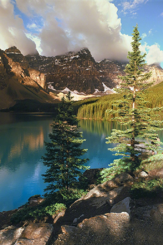 朋友圈最精辟的十句话，受益匪浅