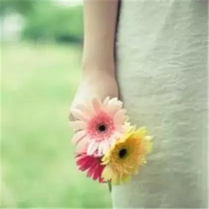 在岁月里做一个懂得的人 在岁月里做一个懂得的人