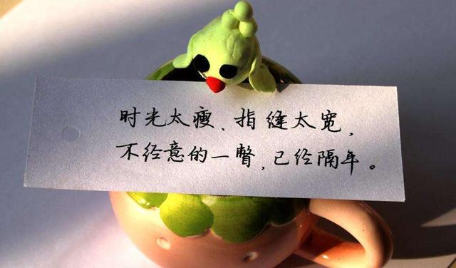 网络一切高贵的情感都羞于表白