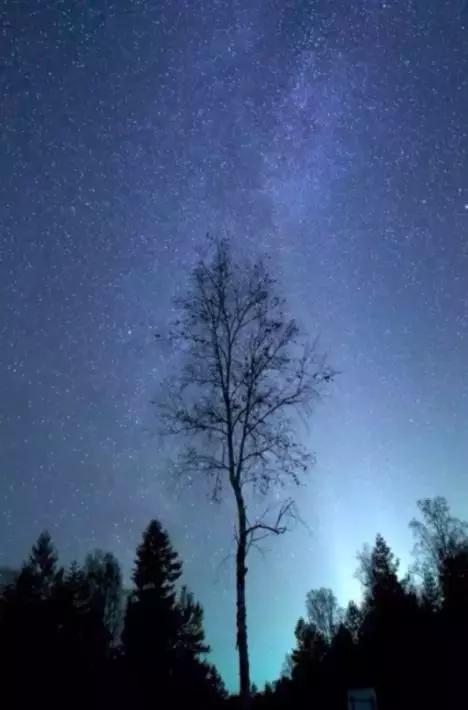 鲁迅：秋夜