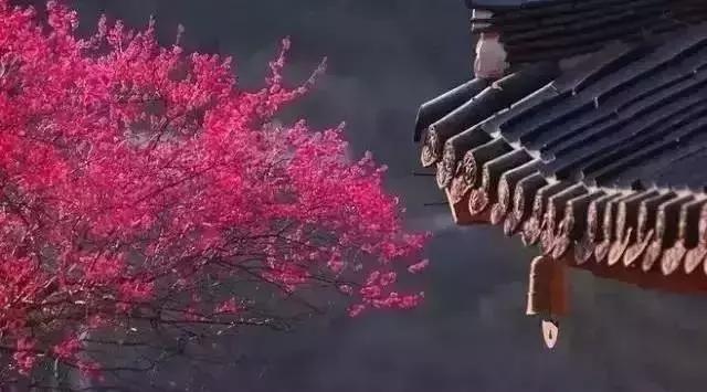 做人讲是非，做事讲利害