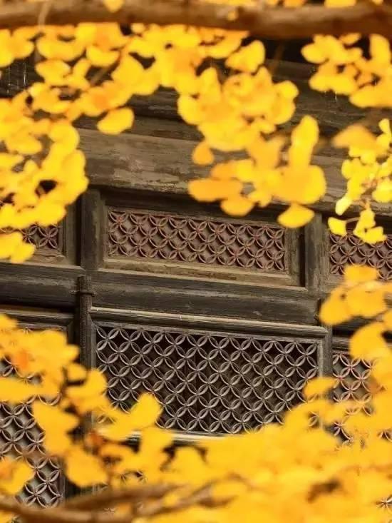 你只要问心无愧的做人，一切自有命运安排