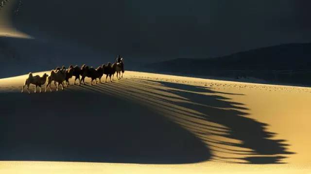 人生，就是一场遇见（字字写到心窝里了）