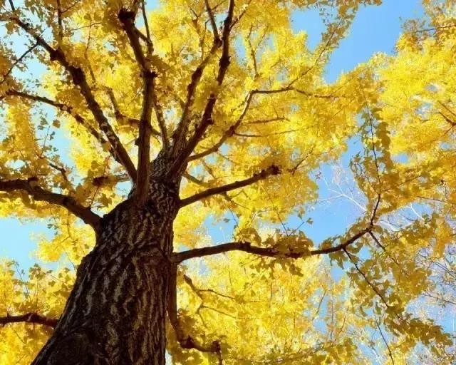 人在有钱时,人在没钱时!(句句见血) 人在有钱时,人在没钱时!(句句见血)