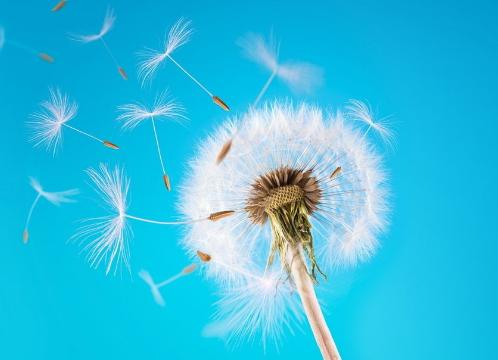 三毛最美的经典语录