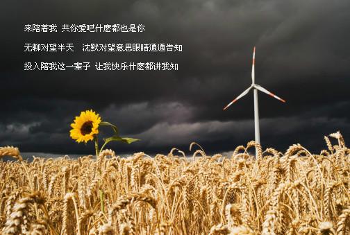 把简单的事做好就是不简单