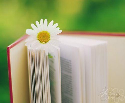 生活，因为无能为力，所以顺其自然；因为心无所恃，所以随遇而安