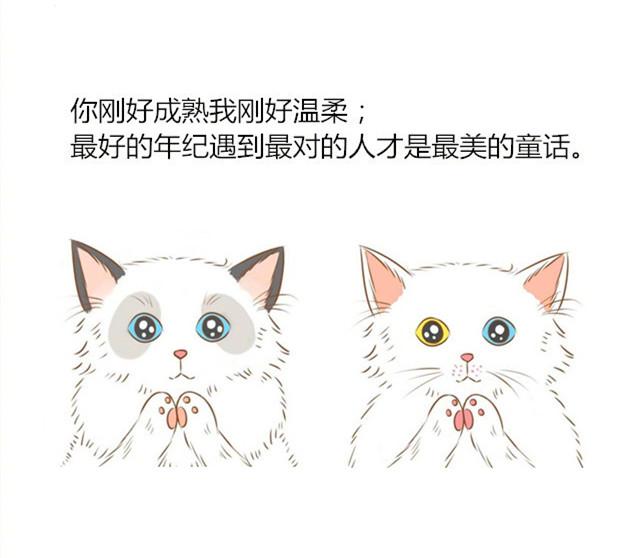 暖心语录：最好的年纪遇到最对你的人才是最美的童话