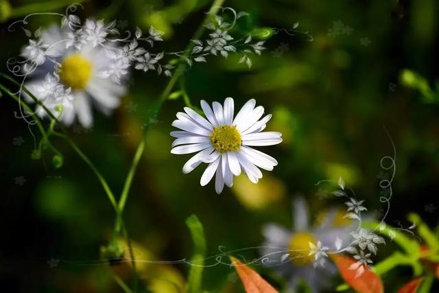 真正的放弃并不会张扬而是慢慢不联系 真正的放弃并不会张扬而是慢慢不联系