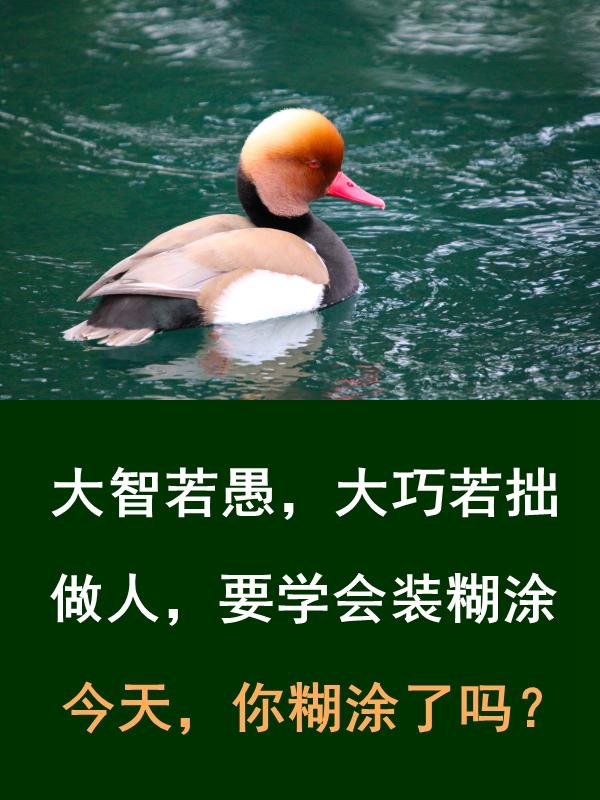 做人，难得糊涂，贵在糊涂，乐在糊涂，成在糊涂，学会糊涂