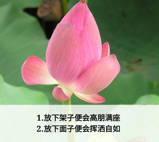 放下面子做人，但不可弯腰