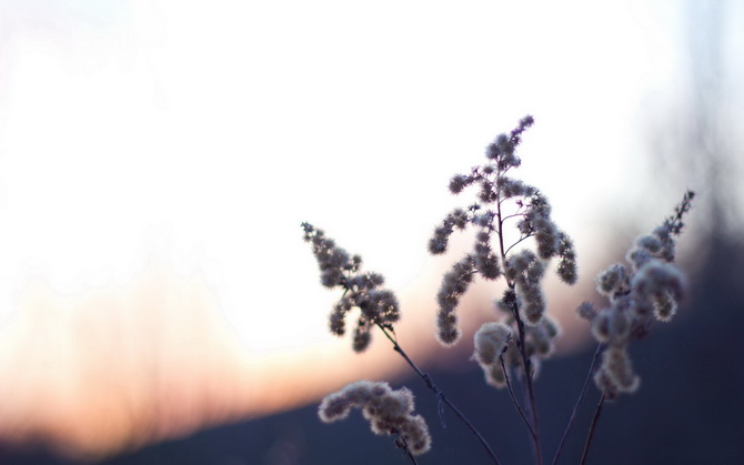 2017微信正能量励志语录