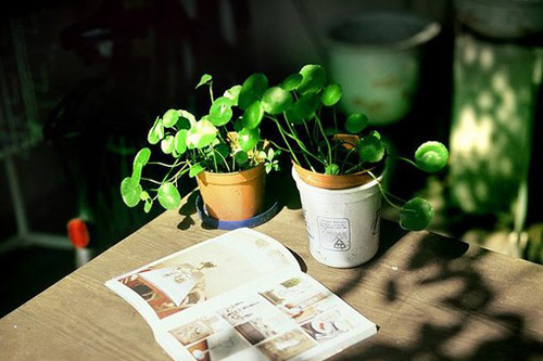 适合发朋友圈的经典语录，句句深刻