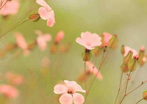 精辟的人生感悟哲理句子，句句让你大彻大悟