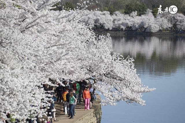 关于人的经典语录