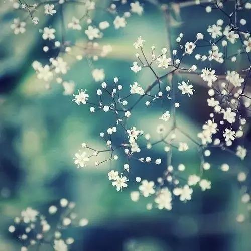生 活（写的真好）