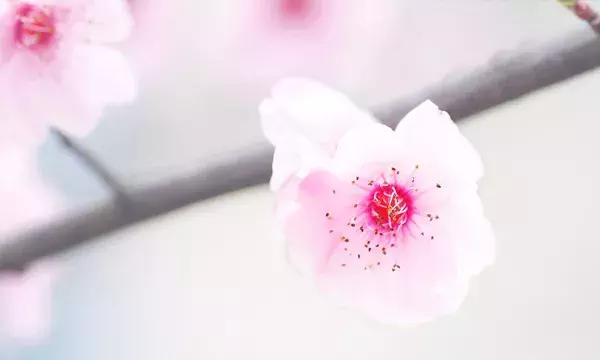 人心，不能冷落；感情，不容敷衍