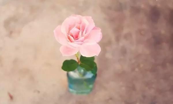 如果生命只剩下一天 如果生命只剩下一天