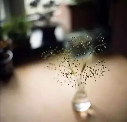 做到这些，你就是有涵养的人