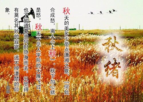 读懂了秋就读懂了人生