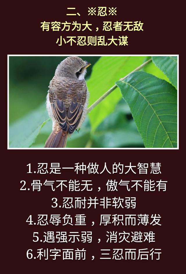 为人处事：一孝，二忍，三稳，四藏，五变，六防，七退