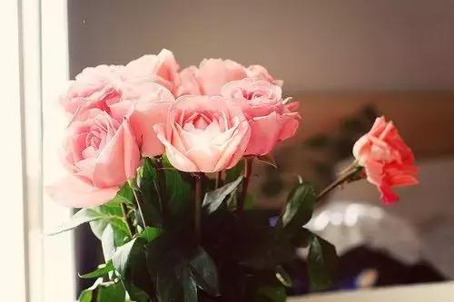 人生，原本就没有相欠