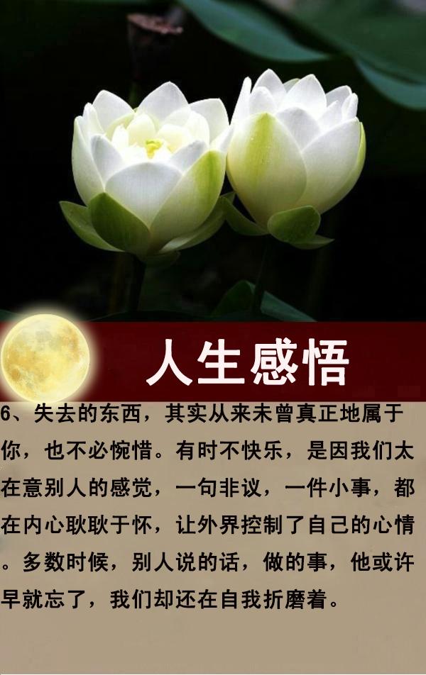 每天一点正能量，感悟生命，感谢生活