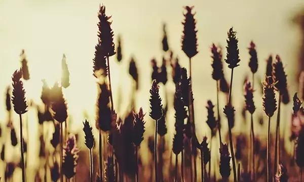 人啊,争什么争 人啊,争什么争