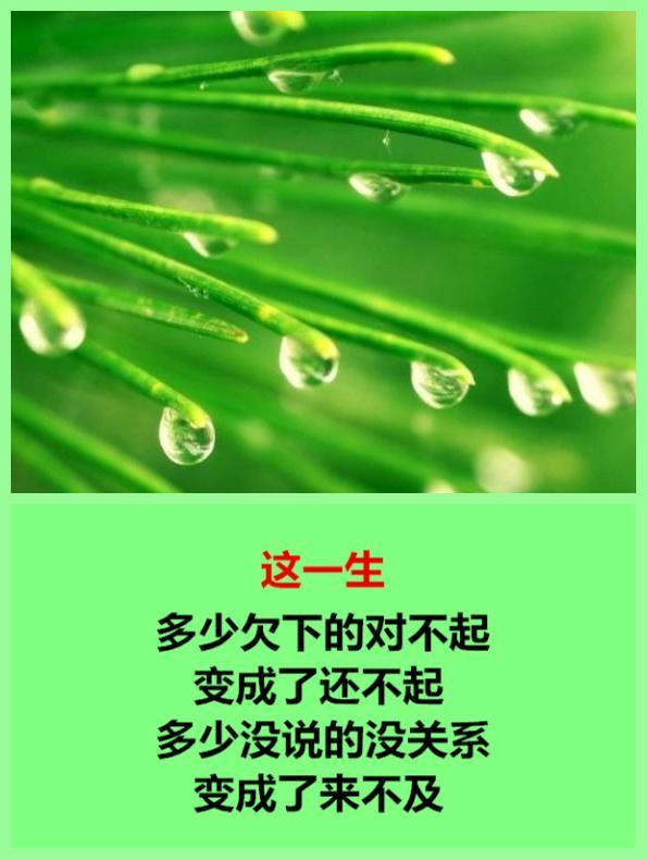 有些人，再也不能联系了