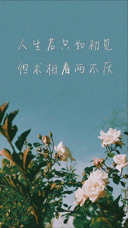 许我此生温暖，着我后世心安