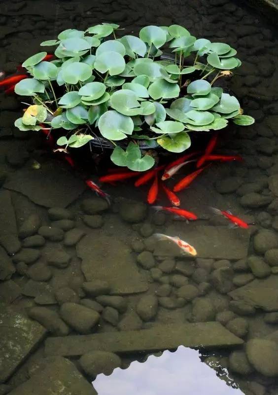 厚道的力量