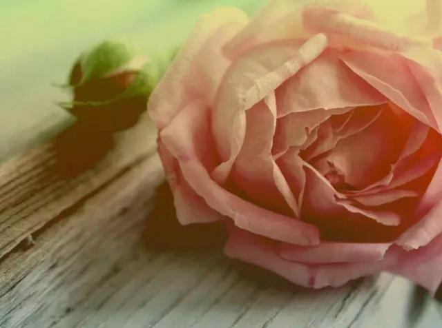 精辟哲理语录，令人茅塞顿开