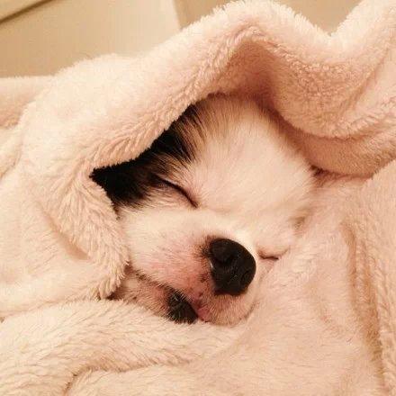 精选微信朋友圈语录 精选微信朋友圈语录