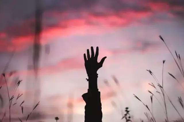 不争，不理，不气！