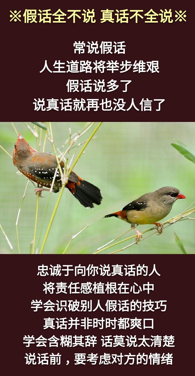 真话不全说，假话全不说