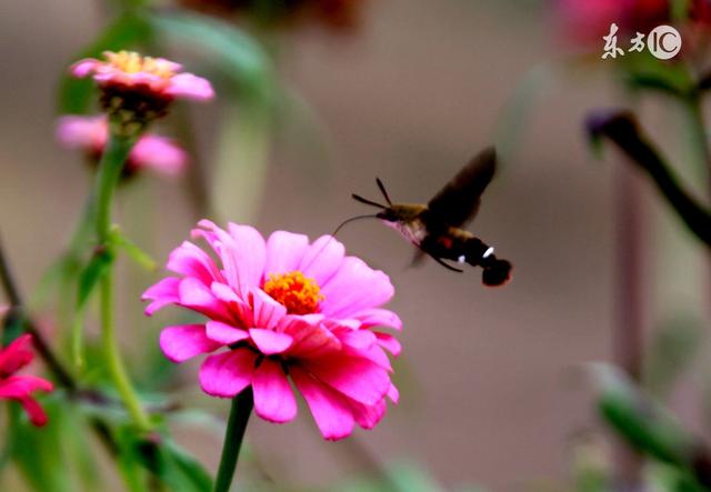 人到中年，一看透，二看淡，三看清
