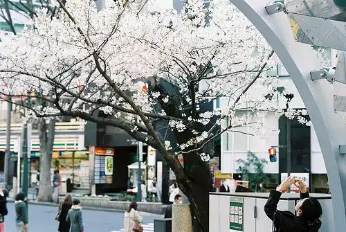 过去的都会过去,该来的都在路上 过去的都会过去,该来的都在路上