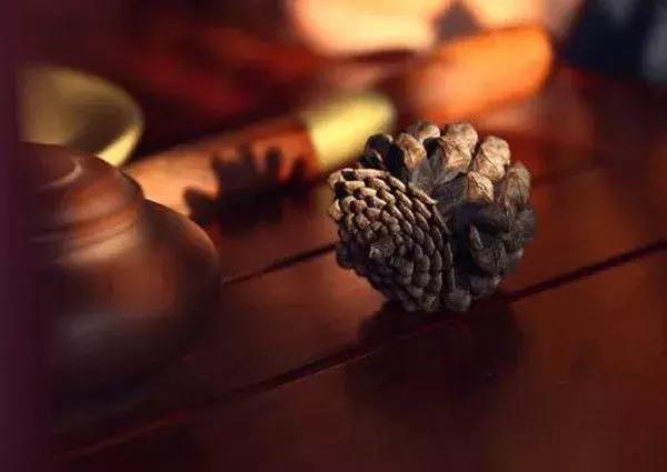 没有如意的人生，只有看开的生活