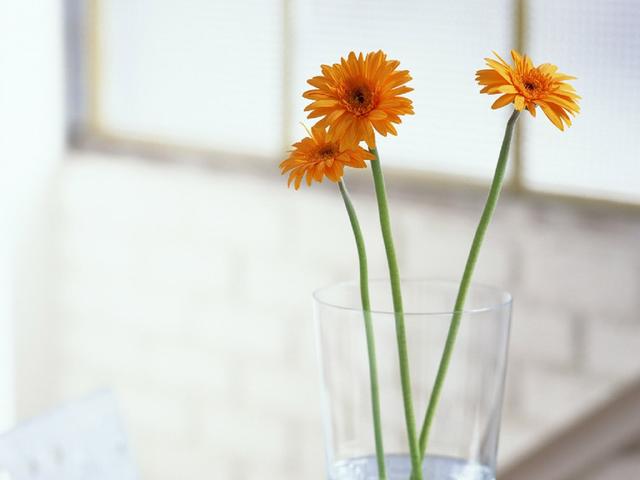 在岁月中修炼自己