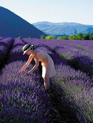 行动去成就梦想,奋斗能成就人生 行动去成就梦想,奋斗能成就人生