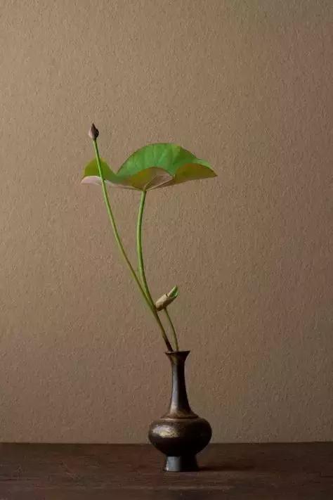 生命里需要这八戒