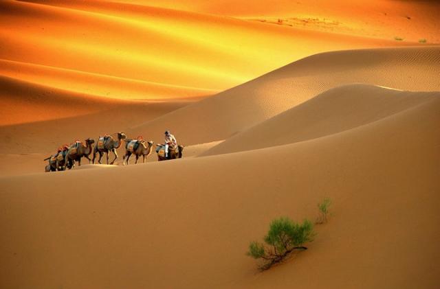 相生相克又相伴相生 相生相克又相伴相生