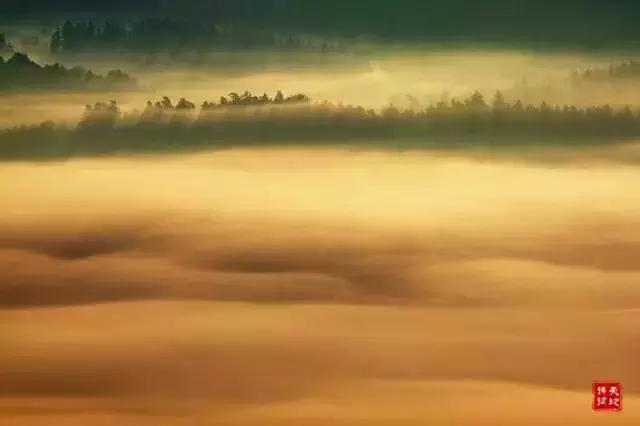 人这一生，只有五天