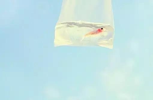 算命师骗你七年八年，而我一句话点醒你