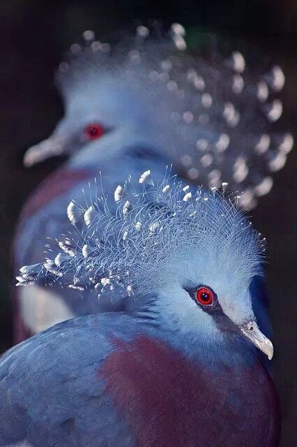 坦然面对人生的悲与欢