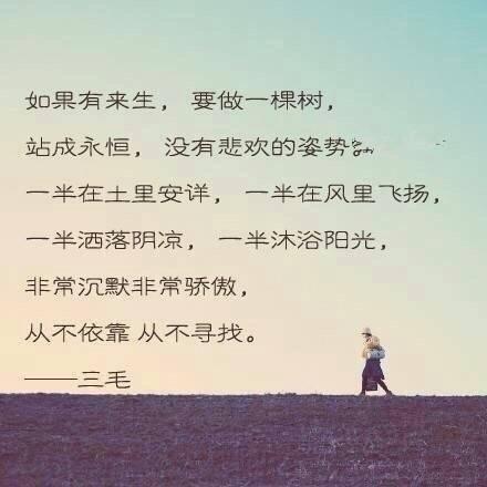 三毛：我来不及认真地年轻