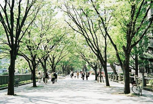 人生四然：来是偶然，去是必然，尽其当然，顺其自然