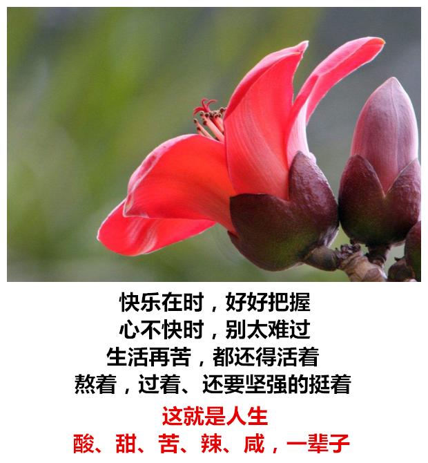生活有苦有甜，爱情有闹有和，心情有悲有喜，日子有阴有晴